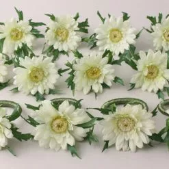 Dunelm Set Of 12 Gerbera Napkin Rings 7cm -dining room furniture Shop 1000182744 alt02