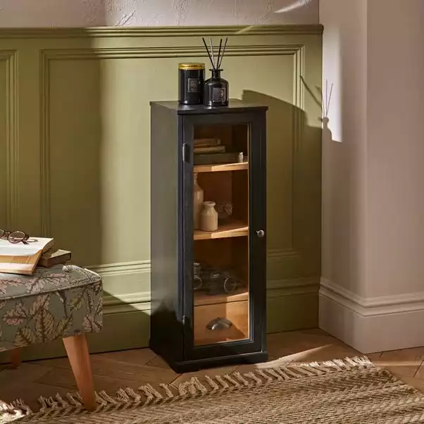 Natural History Museum Small Slim Display Cabinet 4 Natural History Museum Small Slim Display Cabinet - Image 2