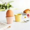 Dunelm Set Of 2 Plant Pot Egg Cups 1 Dunelm Set Of 2 Plant Pot Egg Cups -dining room furniture Shop 30798435